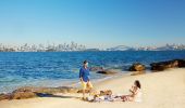 Couple enjoying a picnic with harbour views on Shark Island, Sydney Harbour
