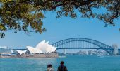 Couple enjoying scenic views of Sydney Harbour from Mrs Macquaries Point