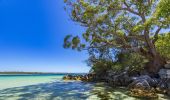 Greenpatch - Jervis Bay