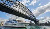 Cruise passing under the Sydney Harbour Bridge