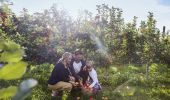 Family apple picking at Shields Orchard - Bilpin