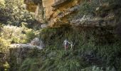 Couple enjoying a walk along the Wentworth Falls Track in the Blue Mountains National Park