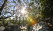 Scenic walk from Bouddi National Park, Bouddi