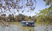 The Hawkesbury Paddlewheeler on the scenic Hawkesbury River in Windsor