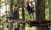 TreeTops Adventure Park