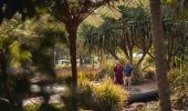 Couple walking in The Australian Botanic Garden in Mount Annan, NSW