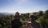 Blue Mountains Botanic Garden in Mount Tomah