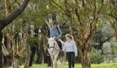 Woman enjoying a horse riding experience with East Side Riding Academy in Centennial Park, Sydney.