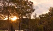 Camping on the Hawkesbury