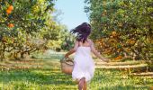 Food Bowl & Farm Stay in the Hawkesbury