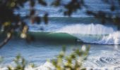 Avalon Beach - Sydney's Northern Beaches