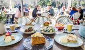 Assortment of foods on timber table overlooking parkland at Audley Dance Hall Cafe and Events, Royal National Park