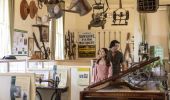 Couple learning about the cultural and heritage background of Camden at the Camden Museum in Sydney's west