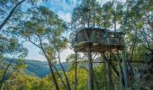 Love Cabins - Blue Mountains Treehouse 