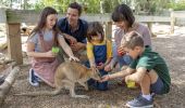 Family feeding a wallaby at Featherdale Wildlife Park, Doonside in Sydney west