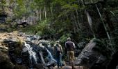 Couple at Protesters Falls, Nightcap National Park, Northern Rivers