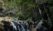 Couple at Protesters Falls, Nightcap National Park, Northern Rivers