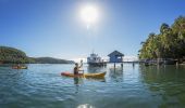 Friends kayaking on Pittwater at Bennets Wharf, Coasters Retreat