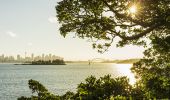 View of Shark Island and Sydney Harbour from the Hermitage Foreshore Walking Track in Vaucluse