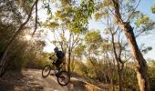 Mountain biking at Manly Dam, Sydney North