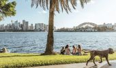 Picnic at Cremorne Point
