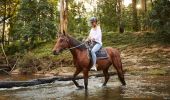 Woman enjoying a horse riding experience with Glenworth Valley Horse Riding, Glenworth Valley