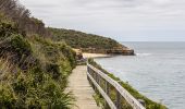 Bouddi Coastal Walk, Bouddi National Park - Credit: Nikki To