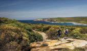 Der Küstenwanderweg im Royal National Park bei Bundeena – Foto: David Finnegan | DPIE
