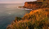 Sunrise Royal National Park - Credit: John Spencer | DCCEEW