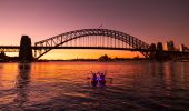 Sydney Kayak Experience