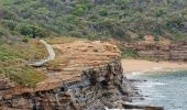 Coastal cliffs on the Bouddi Coastal walk in Bouddi National Park, Bouddi