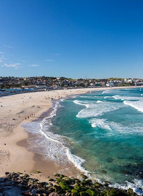 Beach Lifestyle In Sydney Beaches Diving Snorkelling More Sydney Beaches