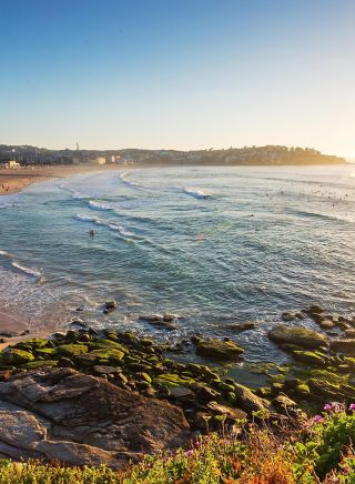 Summer in Sydney - Bondi Beach