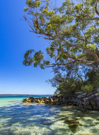 Greenpatch - Jervis Bay