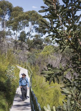 Man enjoying a sightseeing tour with Eco Tours in the Blue Mountains