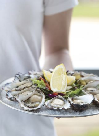 Fresh Sydney Rock Oysters at the Tathra Hotel, on the Sapphire Coast on NSW