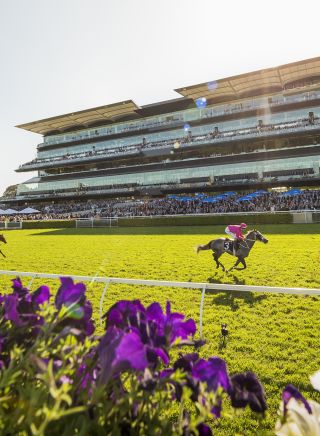 The Championship Races, Royal Randwick