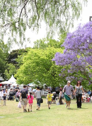 Northside Produce Market - Ted Mack Civic Park, Chatswood. Image Credit: North Sydney Community Centre