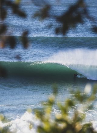 Avalon Beach - Sydney's Northern Beaches