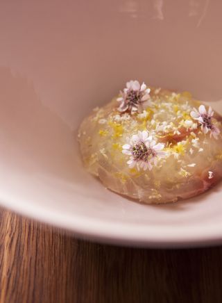 Cured fish at Sixpenny, Inner Sydney 