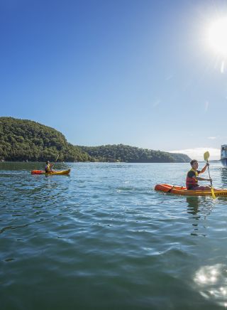 Friends kayaking on Pittwater at Bennets Wharf, Coasters Retreat