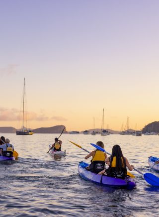 Sunrise kayaking experience in Pittwater with Pittwater Kayak Tours, Palm Beach