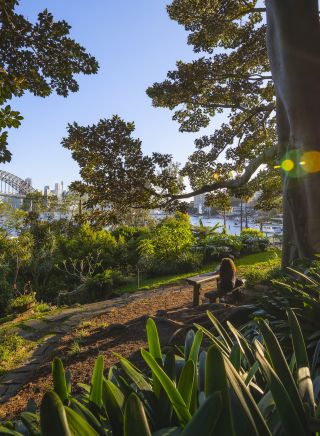 Woman enjoying the serenity in Wendy Whiteley's Secret Garden in Lavender Bay
