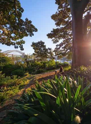 Woman enjoying the serenity in Wendy Whiteley's Secret Garden in Lavender Bay