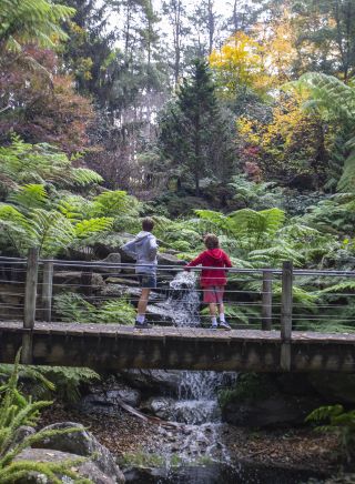 Children enjoying a visit to Wildwood Garden, Bilpin