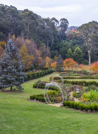 Autumn colours on display at Wildwood Garden, Bilpin