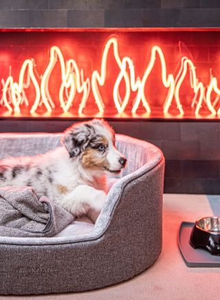 Ovolo Woolloomooloo - Credit: TravMedia
