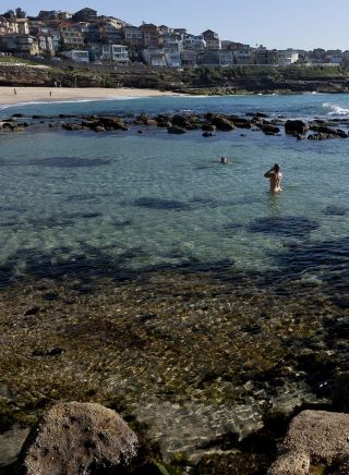 Bronte pool, Sydney