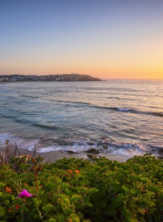 Morning sun rising over Bondi Beach, Sydney