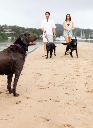 Couple walking their dogs on the beach at Bayview Dog Park, Bayview